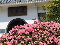 -梧桐山风景名胜区