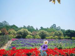 -南沙蒲洲花园