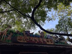 -广州长隆野生动物世界