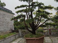 -国恩寺