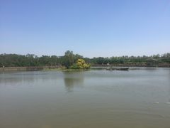 -大湾区中央湿地公园