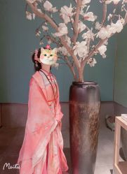-盘子女人坊古装写真摄影(苏州旗舰店)