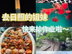 -渡海小渔村.老辈日照菜