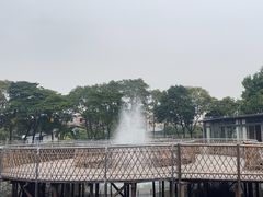 -陶缘一号·四季缘·老字号顺德菜·户外婚礼家宴(西滘店)