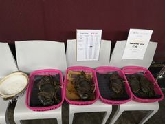 -龙海鲜螃蟹王(宏茂桥店)