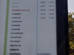 -上海滨江森林公园