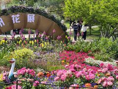 -苏州上方山国家森林公园