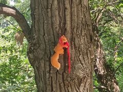 -终南山南五台景区