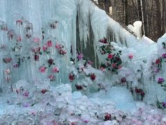 -洛阳白云山景区