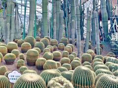 -南山植物园