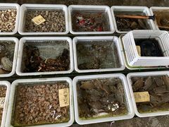 -红月湾海鲜饭店•沙滩海景(双月湾店)