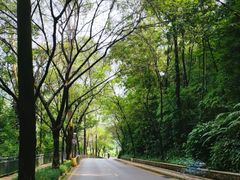 -南国桃园旅游度假区