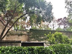 -环城公园