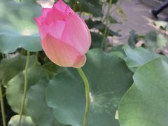 -成都市文殊院