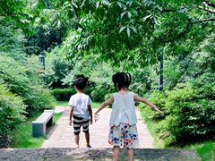 -杭州半山国家森林公园