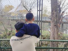 -合肥野生动物园