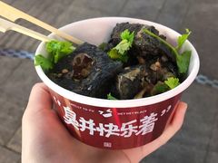 -黑色经典臭豆腐·湖南特产(坡子街店)