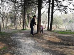 -昆山城市生态森林公园