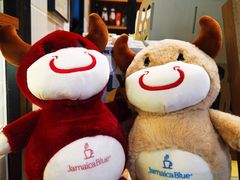 -Jamaicablue Coffeeshop(中央广场店)