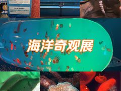 -洛阳龙门海洋馆