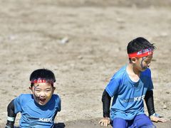 -春花秋色城市公园