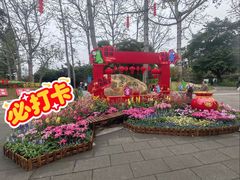 -南宁南湖公园