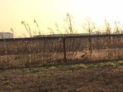 -松声马术俱乐部