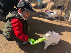 -前小桔亲子创意农场·草莓采摘·露营烧烤