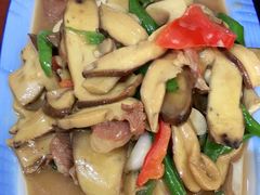 -菌之家·专业纯野生菌火锅·特色炒菌