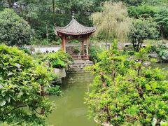 -南山植物园