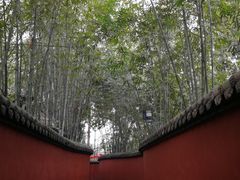 -锦里味道·传统川菜