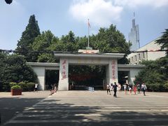 -三猫黑鱼花(南大店)