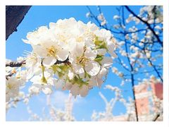 -东北师范大学(净月大街校区)