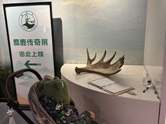 -北京麋鹿生态实验中心