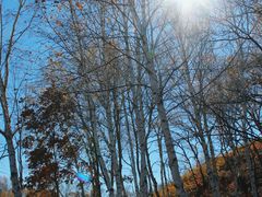 -塞罕坝国家级自然保护区