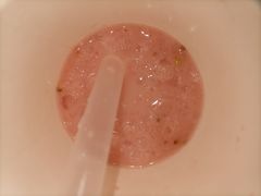 -津椰本·海南正宗椰奶清补凉(店一店)