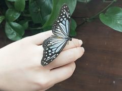 -上海自然博物馆