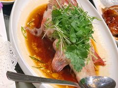 -海王老记