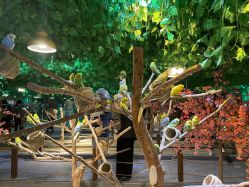 -酷嗒动物文化乐园(cutezoo西溪乐天城店)