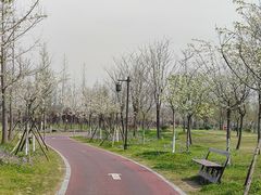 -黄海国家森林公园