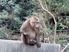 -徽州美食(三十年老店)