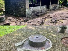 -海口火山口国家地质公园