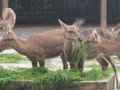 -金沙遗址博物馆