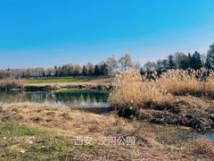 -洨河生态公园