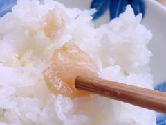 -鯛匠 HANANA