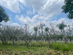 -荔湾区儿童公园