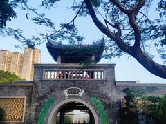 -荔湾湖公园