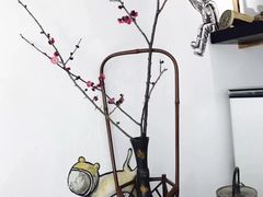 -茶是一枝花泡茶店