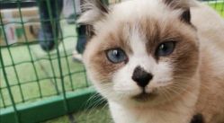 -萌宠亲子动物乐园(槐房万达店)