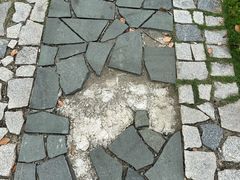-苏州太湖国家湿地公园